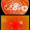 Electroplankton Screenshots for Nintendo DS