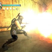 Ninja Gaiden Screenshots for Xbox