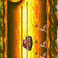 Donkey Kong Country 3 Screenshots for Game Boy Advance (GBA)