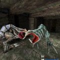 The Elder Scrolls Travels: Shadowkey for N-Gage Screenshot #6