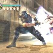 Ninja Gaiden for Xbox Screenshot #6