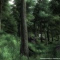 The Elder Scrolls IV: Oblivion for PC Screenshot #1